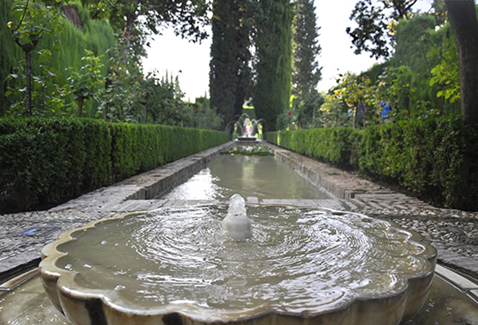 visits Alhambra last minute